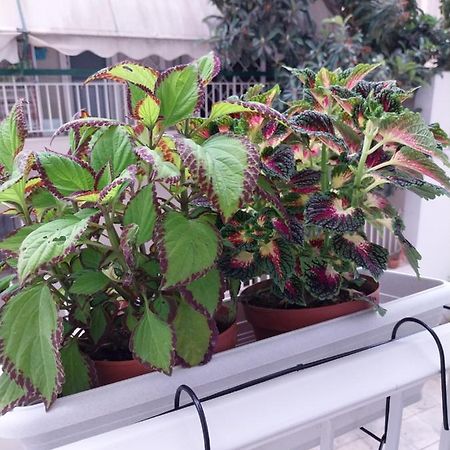 Athens Lovio Apartment Bagian luar foto