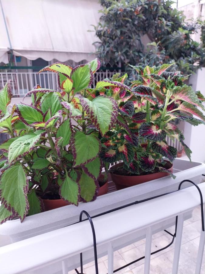 Athens Lovio Apartment Bagian luar foto
